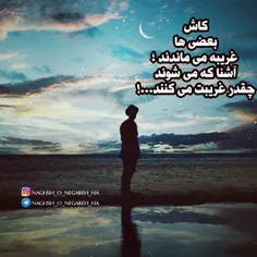 کاش بعضی ها غریبه می‌ماندند؛ 