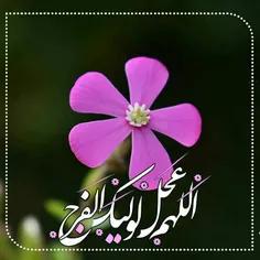 تـ❤ ـو تـنها میتوانی آخریـن درمـانِ مـن باشی 