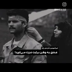 امیر عالم امکان.
