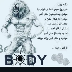 #instafit #motivation #fit #fitness #gym #muscle  #بدنساز