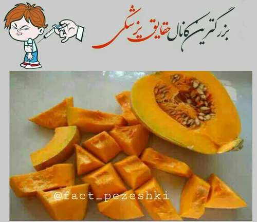 🎃 فواید کدو تنبل