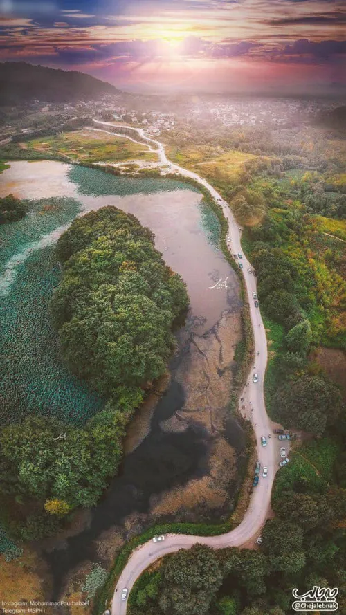 نمایی زیبا از تالاب سوستان، زیستگاه نیلوفران لاهیجان😍