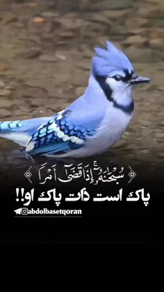 اللهم❤صل❤وسلم❤بارك❤علی❤سیدنه❤️ونبینا❤️وحببینا❤️محمد❤️❤️❤️