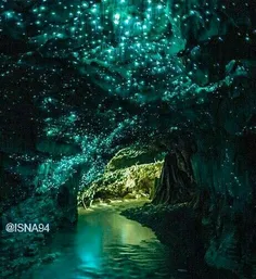 این غار را کرم‌های شب‌تاب به صورت کاملا طبیعی روشن کرده‌ا