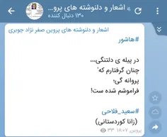 سعید فلاحی (زانا کوردستانی)