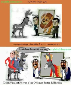 جواب به کاریکاتورموهن ترکیه علیه ایران...