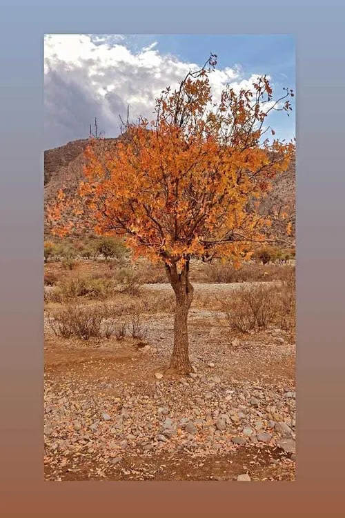 هرکس تیرباغ رو میشناسه بزنه رو قلب..😍❤