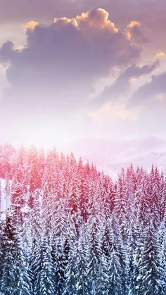 💎 #Wallpaper ❄ ️#Winter