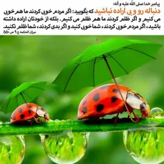 دوستان خوبم سلام🌹 🌹 🌹 