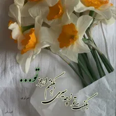 شعرگرافی