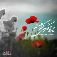 *تا شقایق هست زندگی باید کرد*