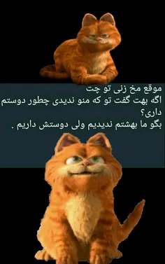 هههـِخخخ😸