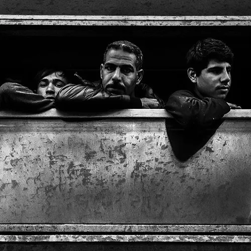 Migrants looking out the window of a train after crossing