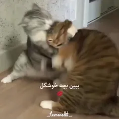 ببین بچه خوشگل