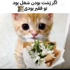 اما مژه های بلندت..... موهای صافت..... چشمای درشتت..... ل