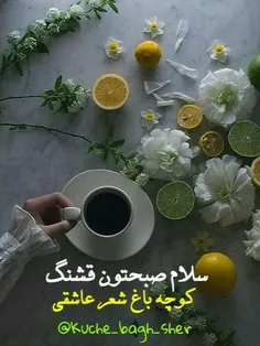 گویند" سلام صبح" 