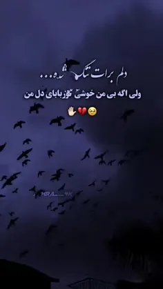 فالو کنید بک 