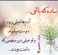 لطفا ساده لوح نباشید