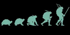 طریقه به تکامل رسیدن لاک پشت های نینجا