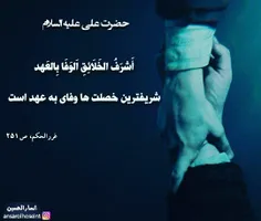 #حکمت_های_علوی