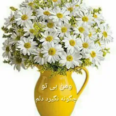 عکس نوشته masomeh.iran 39834771