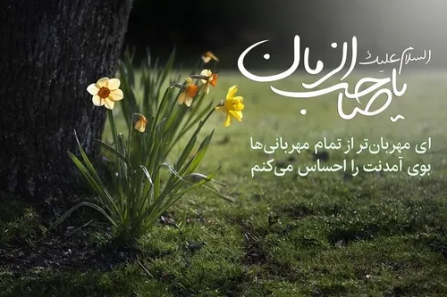 السلام علیک یا ابا صالح المهدی