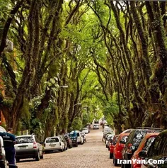 زیباترین خیابان سرپوشیده جهان در برزیل