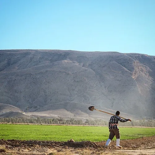 A man walks by his farm. fars, Iran. Photo by @nastaran 5