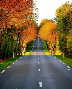 پاییز در منطقه Île-de-France در شمال فرانسه 🍁 🍂 🍁