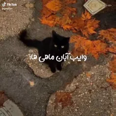 آبانیا✨