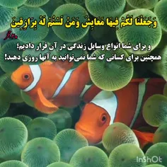 خدایا شکرت به خاطر همه  داده هات