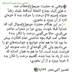 ✨ امام رضاع