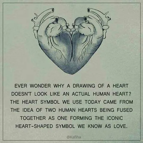 میدانستید سمبل قلبی که ما میکشیم در حقیقت ترکیب دو قلب اس