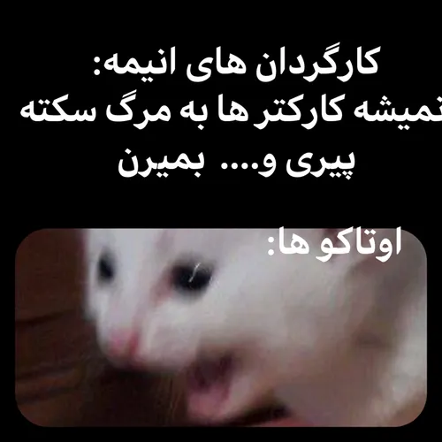 فان انیمه ویسگون