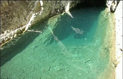 غار ماهی کور دورود لرستان