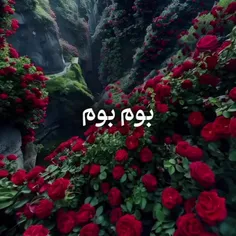 تقدیم به نگاه قشنگتون ویسگونیهای عزیز🌹🌹🏵