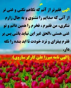 الهی فقیرتر از آنم که نگاهم نکنی و غنی تر از آنی که صدایم