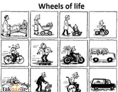 wheels of life