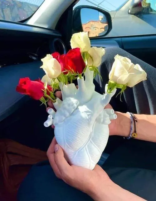 ‏ولی خلاقیتش قشنگه 🥰🌹