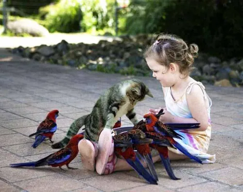 کودکان مهربانی حیوانات