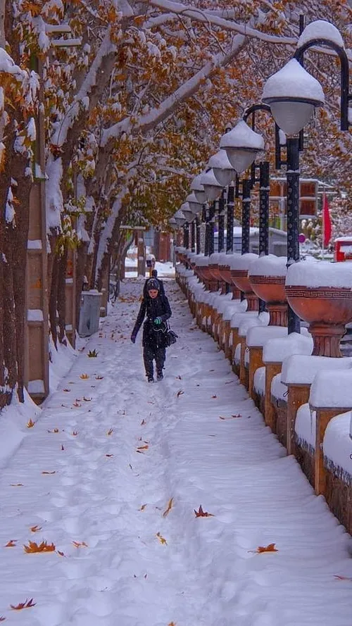 ایران زیبا