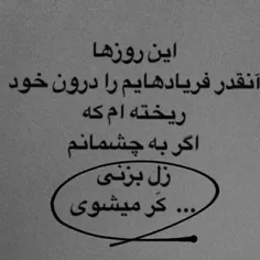 با این حجمه دلتنگی چه کنم😑