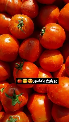 روبلوخ بامادور