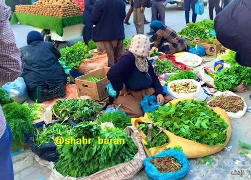 بازار سبزی گیلان