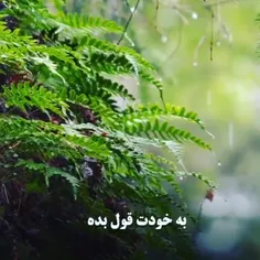 هیچ وقت نذاری، آدمی که 
لیاقت نداره آرامشتو بهم بزنه ...