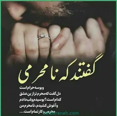 گفتند که نامحرمی ...