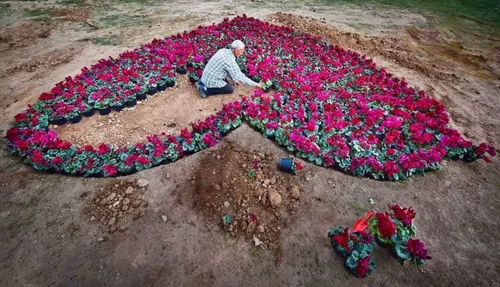 پر نقش تر از فرشِ دلم بافته ای نیست