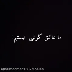 ما عاشق گوشی نیستیم💔