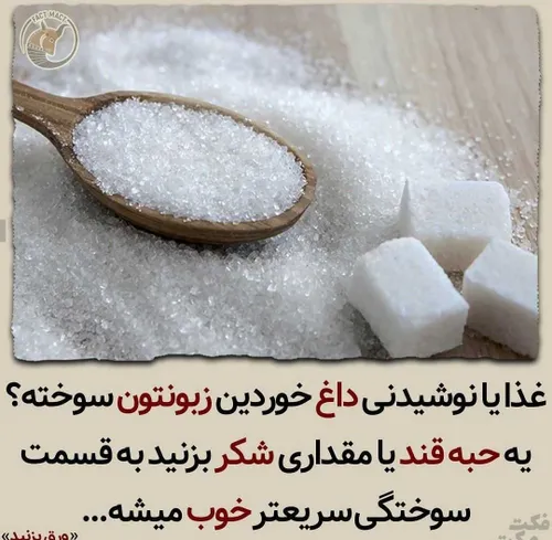 عکس نوشته عکاسی عکس