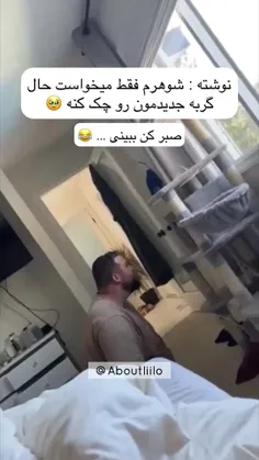 گربه ی درونگرا😂